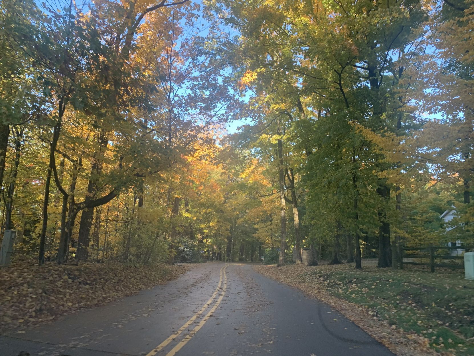 Snake Road fall colors